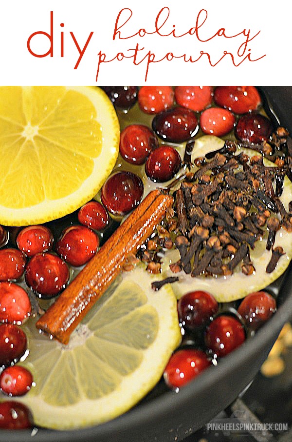 Love the Smell of Christmas? Then this DIY Holiday Potpourri is just for you! Make your home smell like Christmas!